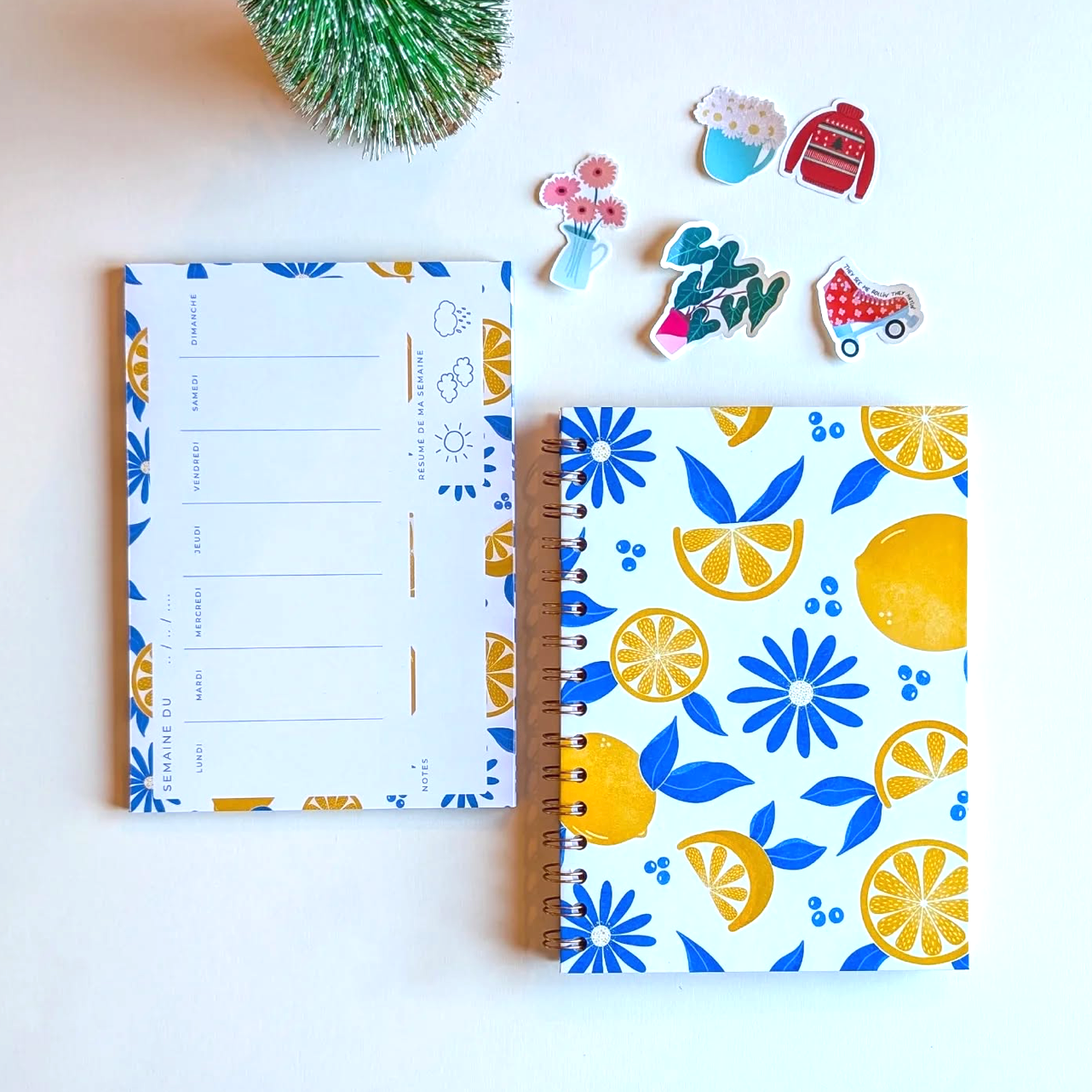 Avril & Novembre Vendor