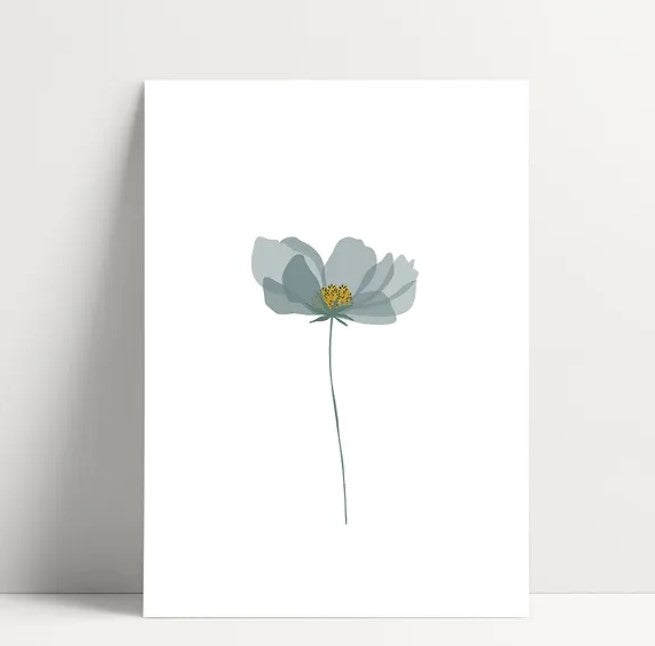 Carte simple - Anemone