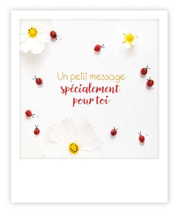 Carte postale - Un petit message - ZG1456FR