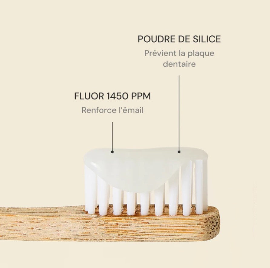 Flacon dentifrice menthe - format voyage 35ml