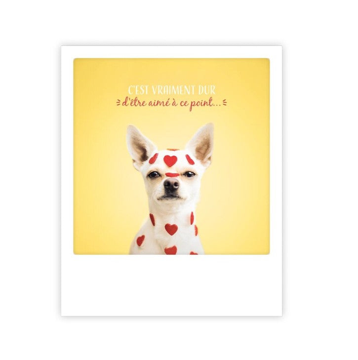 Carte postale - C'est vraiment dur d'être aimé à ce point - ZG1222FR