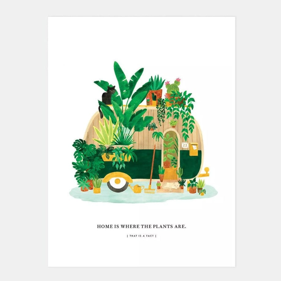 Affiche décorative - Medium - Home is where the plants are - 30x40 cm