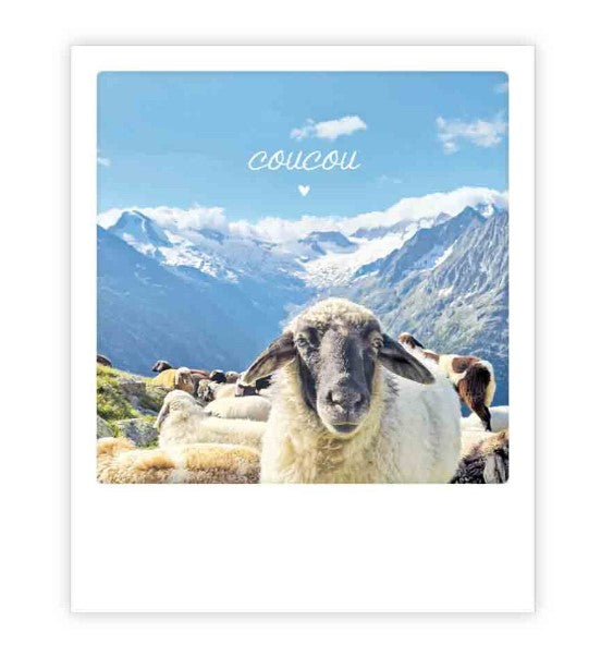 Carte postale - Coucou mouton - ZG1306FR