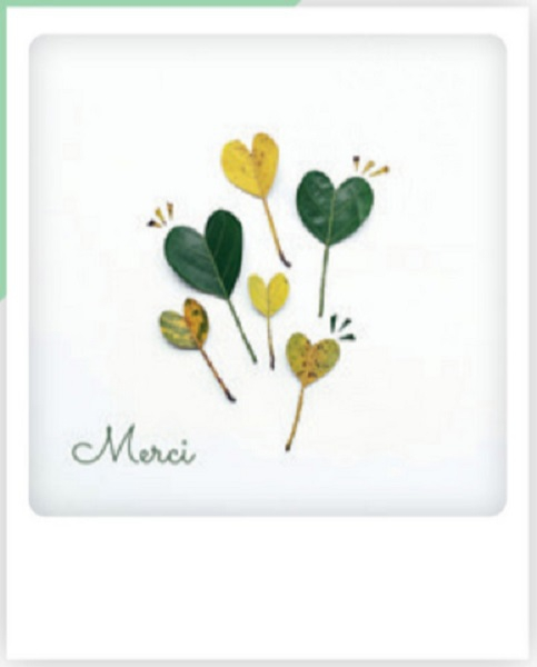 Carte postale - merci ZG0840FR