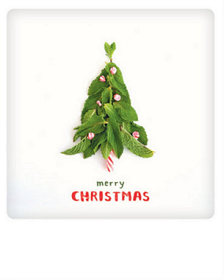Carte postale - Merry Christmas Mint tree XM0202EN