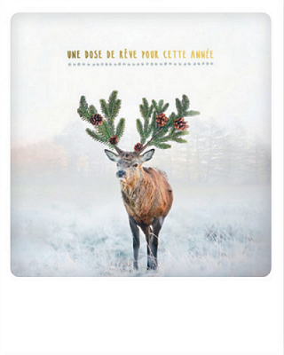 Carte postale - Une dose de rêve XM0269FR