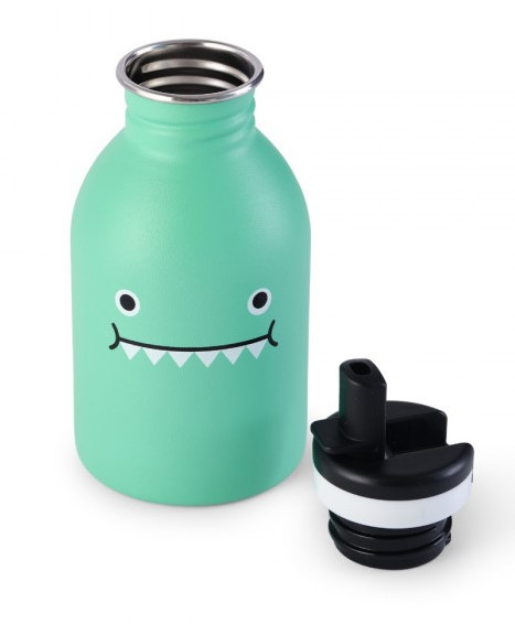 Urban bottle 250 ml Noodoll Ricedino - Vert