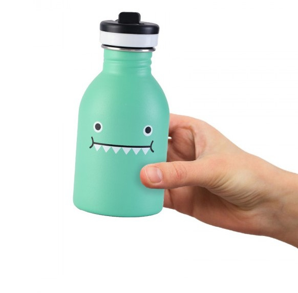 Urban bottle 250 ml Noodoll Ricedino - Vert