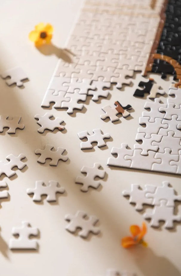 Puzzle 1000pces - Parisian Door