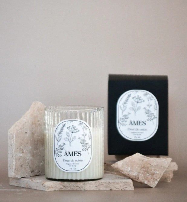 Grande bougie - Lait d'amande-Abricot - 270g