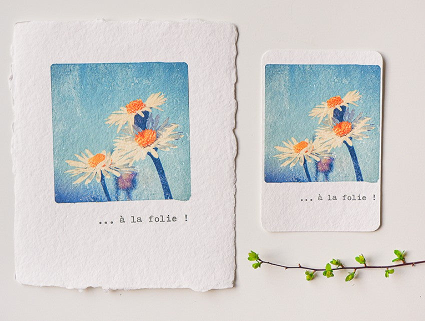 Carte Paquerettes