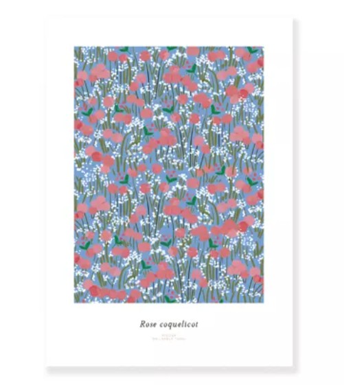 Affiche A3 - Rose coquelicot