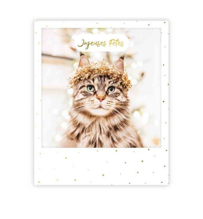 Carte postale Joyeuses fetes cat XM0316FR