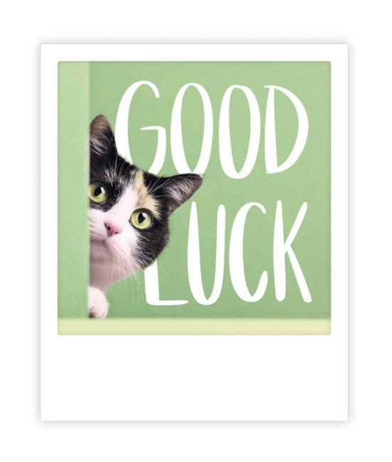Carte postale - Good luck cat - ZG1736EN