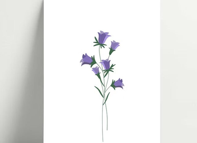 Carte simple - Balma