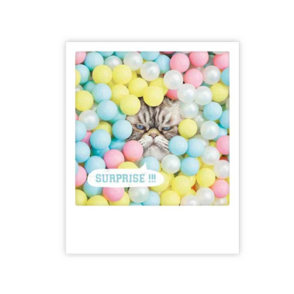 Carte postale - Surprise - ZG0910EN