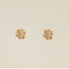 Boucles d'oreilles - Aleli