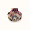 Pince à cheveux - Coquillage - Rose Léopard