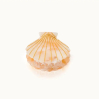 Pince à cheveux - Coquillage - Nude
