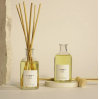 Diffuseur Reed 100ml - Cosy - Santal