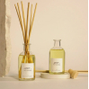Diffuseur Reed 100ml - Grace - Mint Tea & Basil