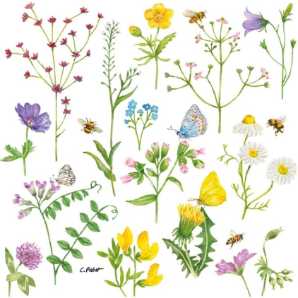 Serviettes en papier - Cornflowers - 133002173