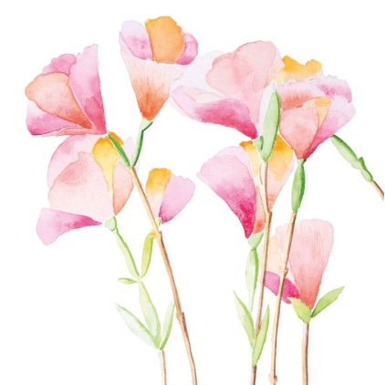 Serviettes en papier - Godesia - 133002958