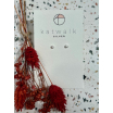 Boucles d'oreilles - argent - note de musique