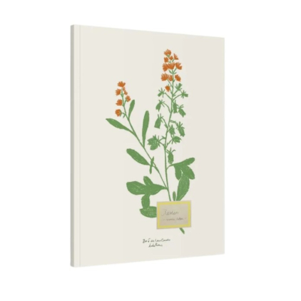 Carnet A5 - Fleurs