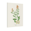 Carnet A5 - Fleurs