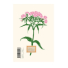Carnet A5 - Fleurs