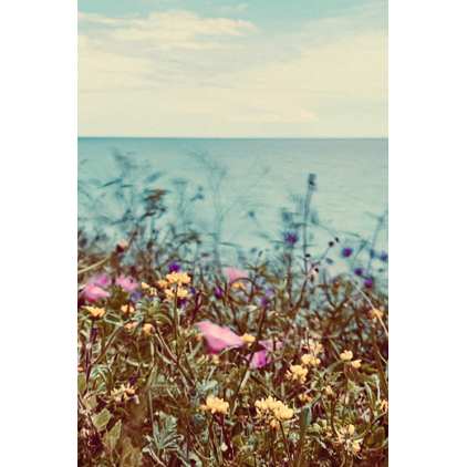 Carte - Fiori & Mare