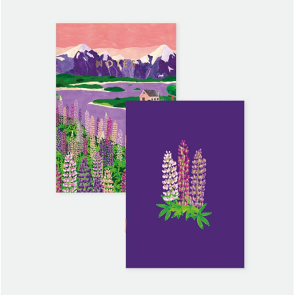 Duo de carnets de poche - Lupin