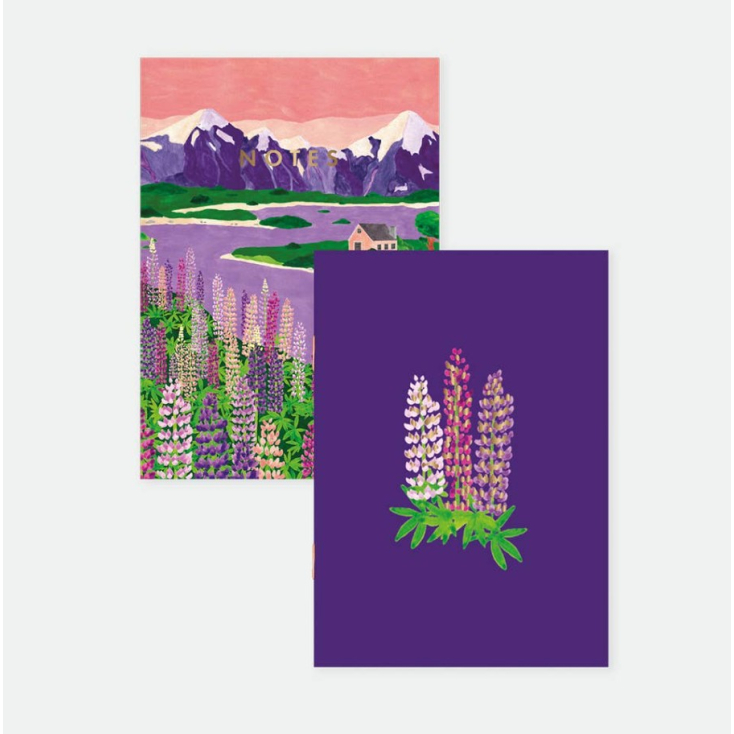 Duo de carnets de poche - Lupin