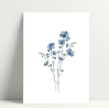 Mini carte - Myosotis