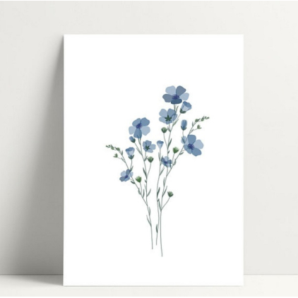 Mini carte - Myosotis