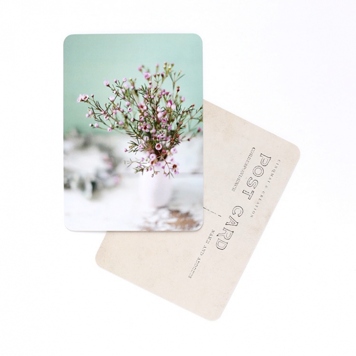 Carte postale Flowers rose and mint