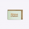 Mini carte Bisous chaton - Powder green