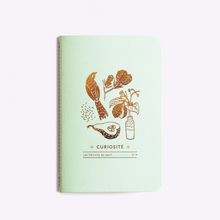Cahier notebook curiosité n°4 - powder green