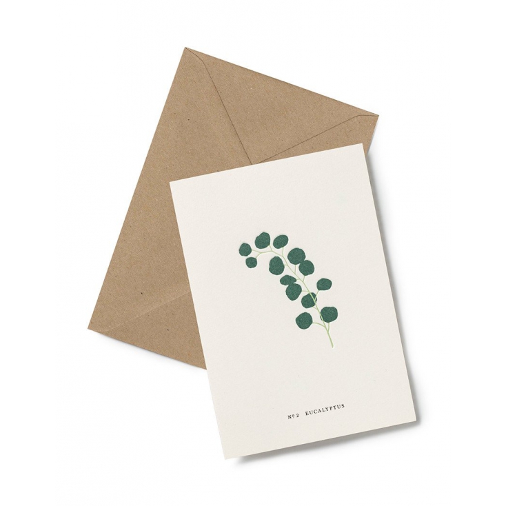 Greeting card - Eucalyptus