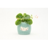 Character planter dusty mint