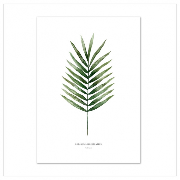 Affiche A3 Palm leaf