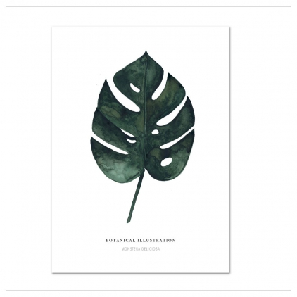 Affiche A4 Monstera Deliciosa