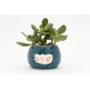 Character planter teal