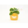 Character planter yolky yellow