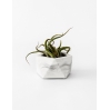 Vand Tealight - Airplant Holder - White Marble