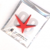 pin's Expo '58 - rouge