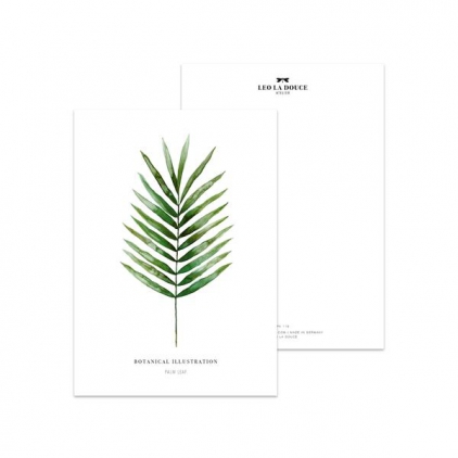 Postcard Palm leaf - 043