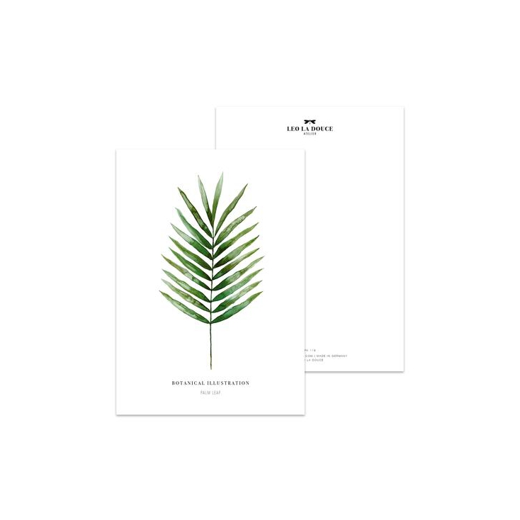 Postcard Palm leaf - 043