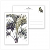 Postcard Wild palm - 036